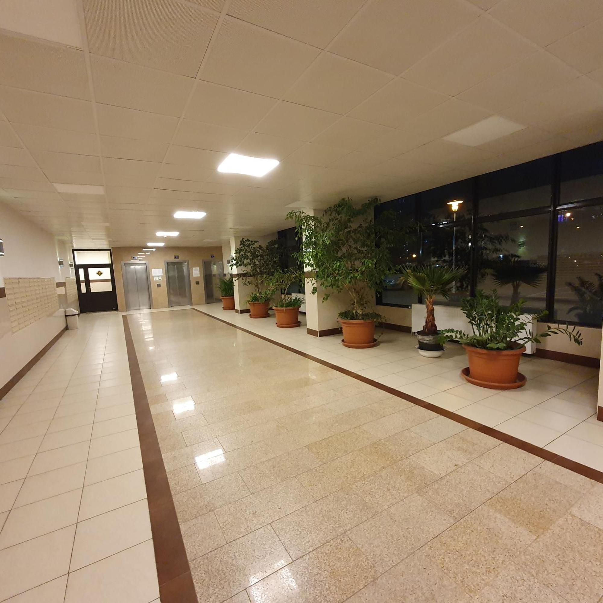 Park Saski Przechodnia Warschau Exterior foto